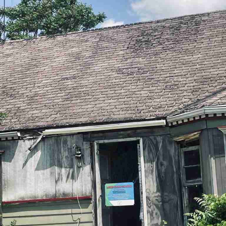 20506 Cardoni (6).jpg